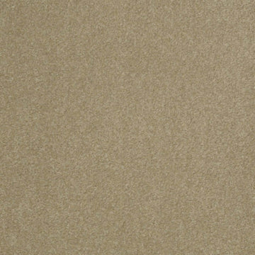 Sahara