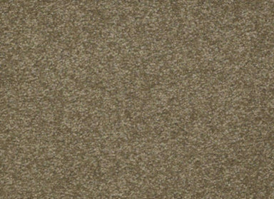 Sandy Hollow III 12' in Green Tea Carpet