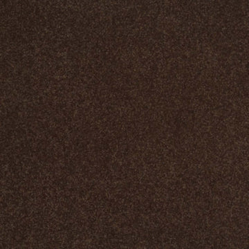 Coffee Bean