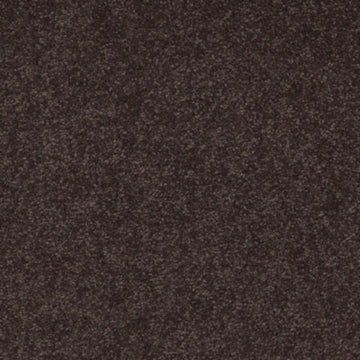 Tundra