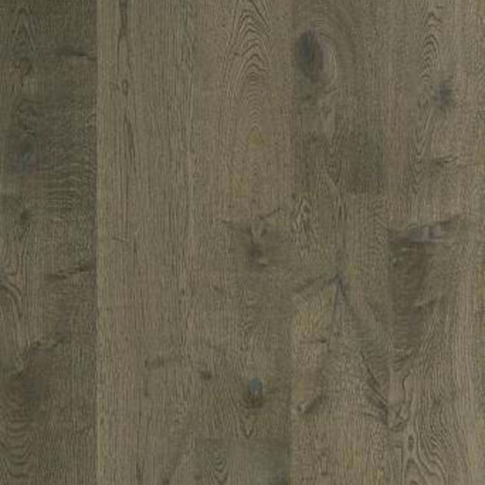 Argonne Forest Oak in Armory