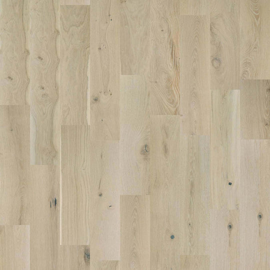 Argonne Forest Oak in Renaissance