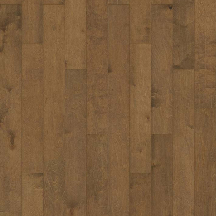 St. Petersburg in Parasail Hardwood