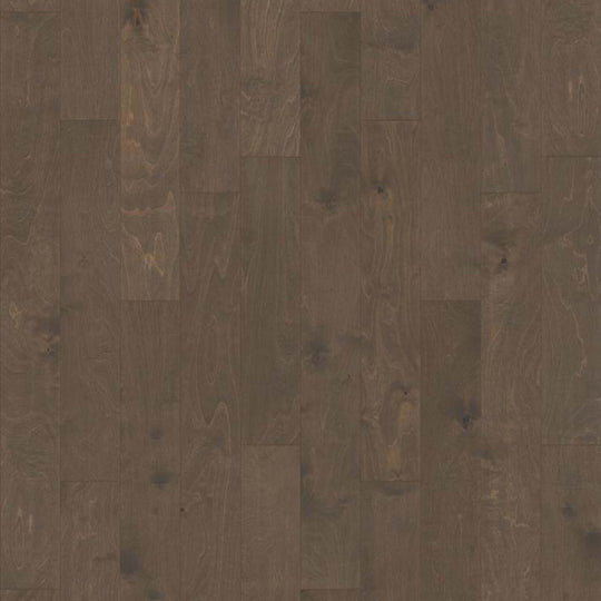 St. Petersburg in Windsurf