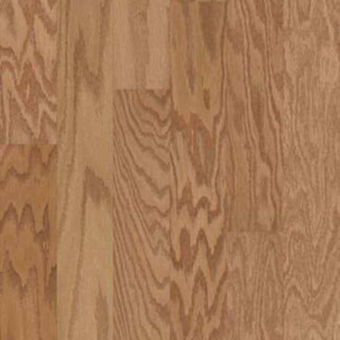 ARDEN OAK 3.25 in Caramel Hardwood