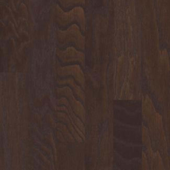 ARDEN OAK 3.25 in Chocolate Hardwood