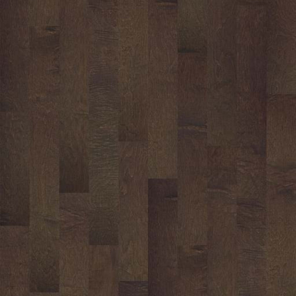 CLEARWATER in Bayfront Hardwood