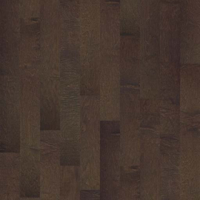 CLEARWATER in Bayfront Hardwood