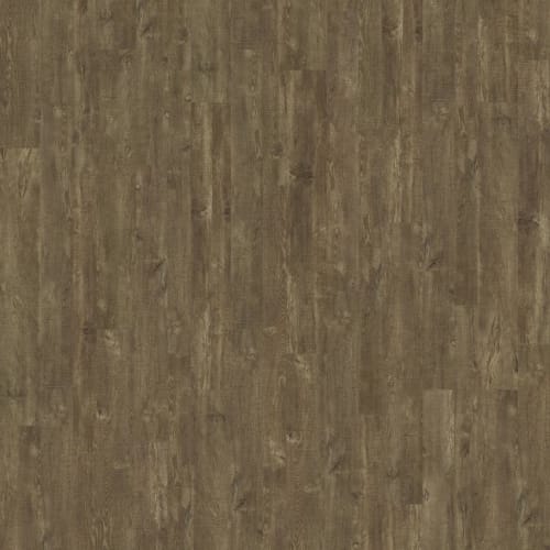 CAMP HOLLAND II in Evening Walk