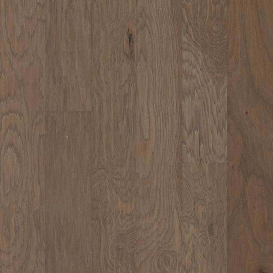 CONTINENTAL in Mesquite