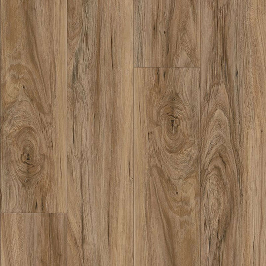 Bowman II in Seaside Sparrow Pine