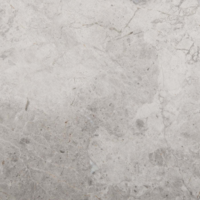Marble Silver Collection in Silver Polished 12" X 12" Natural Stone