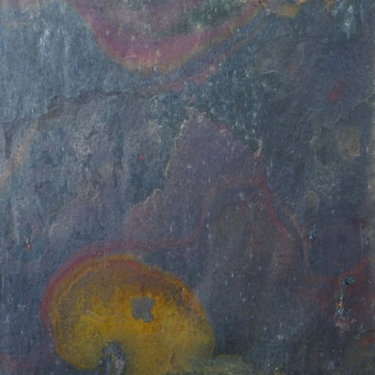 SLATE, QUARTZITE & SANDSTONE in Multi Rajah 12" X 12"