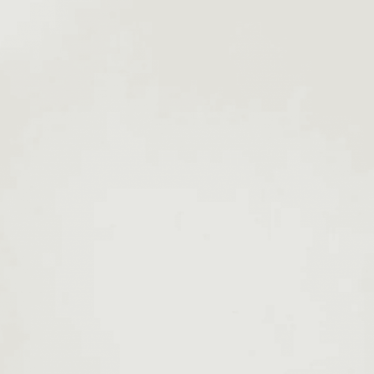 Natural Beauty Stone - Boulevard in Snow