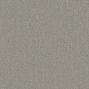 Star Dust