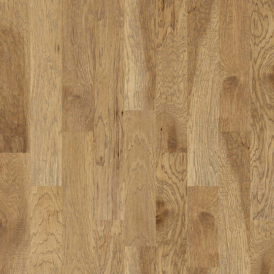 Sequoia 6 3/8 in Bravo