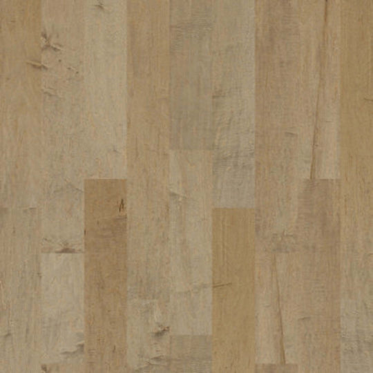 Yukon Maple 6 3/8 in Gold Dust