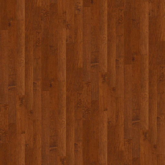 Coral Springs in Burnside