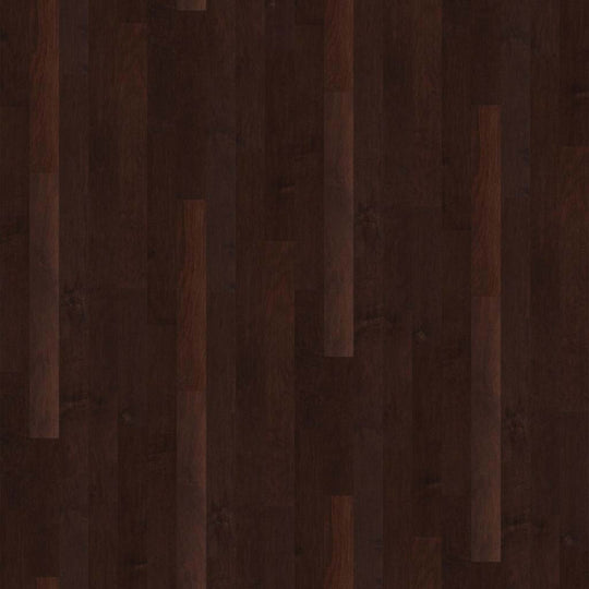 Coral Springs in Conway