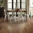 FREMONT HICKORY in Pathway