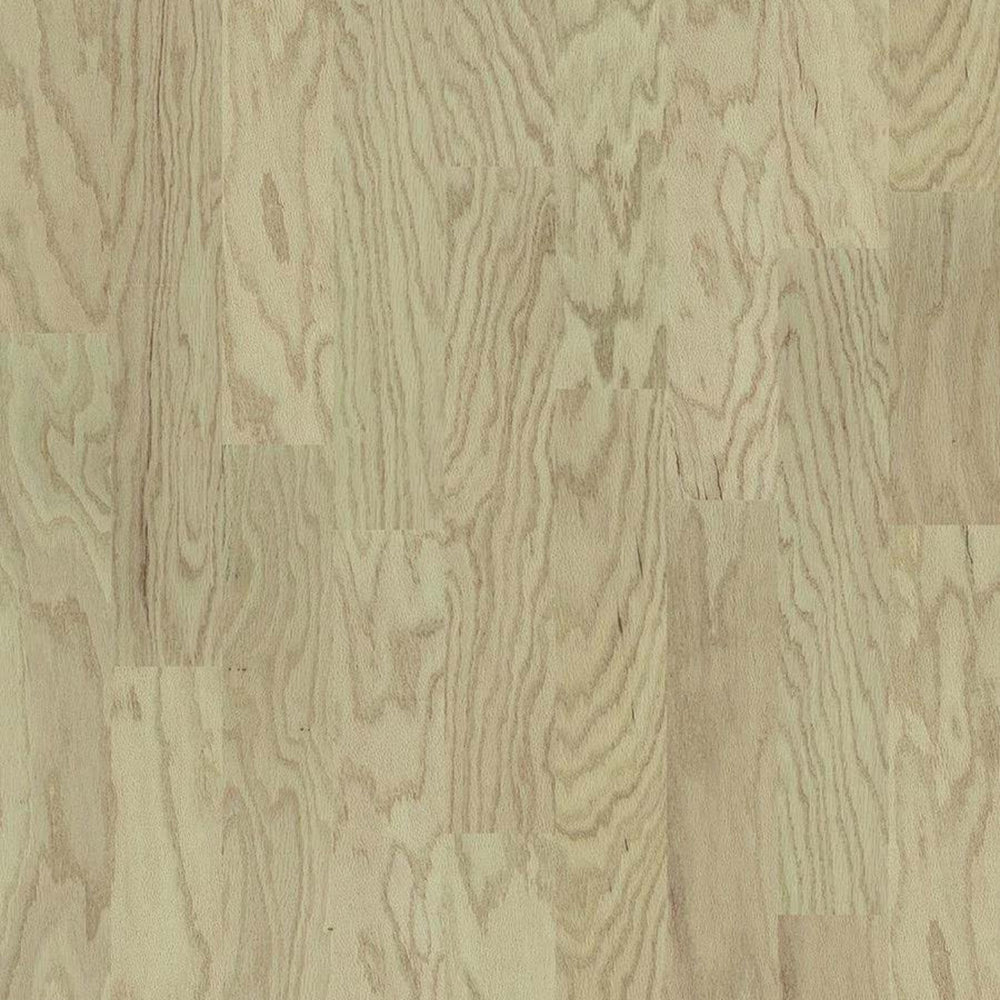 ECLECTIC OAK in Modern Hardwood