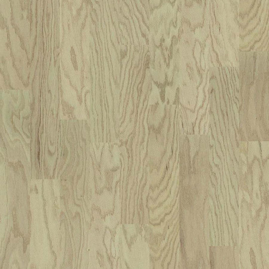 ECLECTIC OAK in Modern