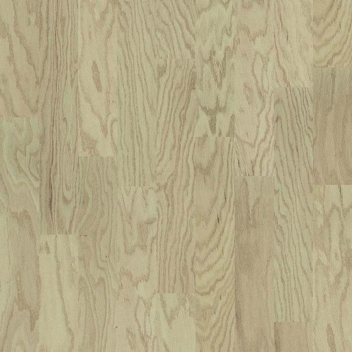 ECLECTIC OAK in Modern Hardwood