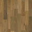 EXPRESSIONS in Prose Hardwood