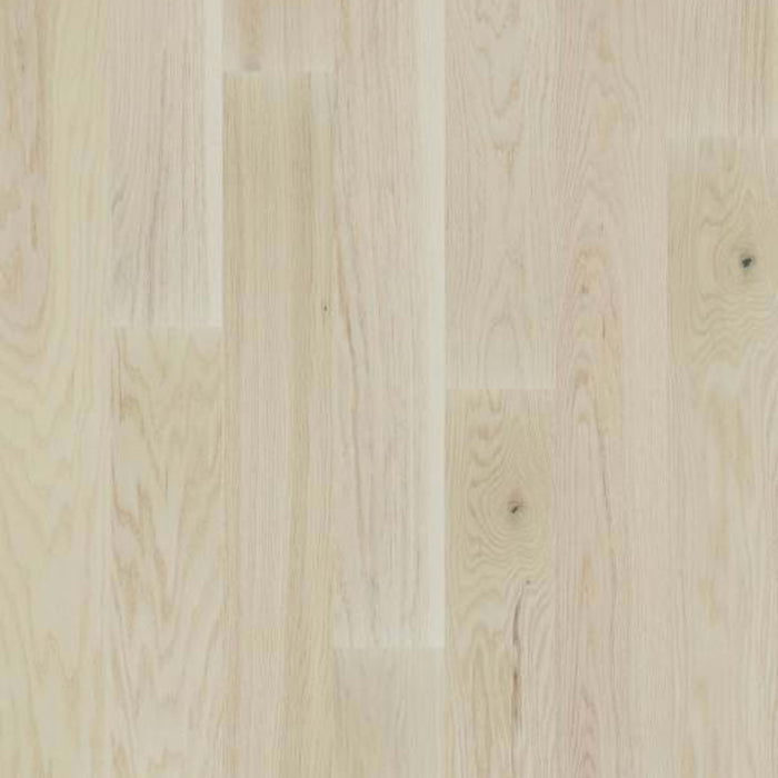 EXPLORATION OAK in Passage Hardwood