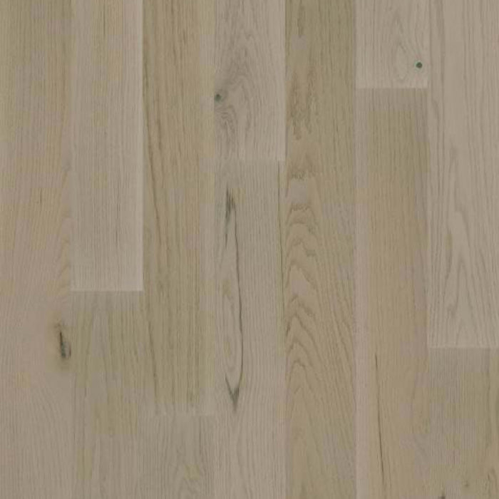 EXPLORATION OAK in Harbor Hardwood