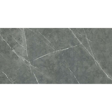 Altamura in Gray Tile