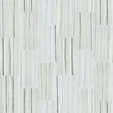 MARVEL 12X24 POLISH in Zebrino Tile