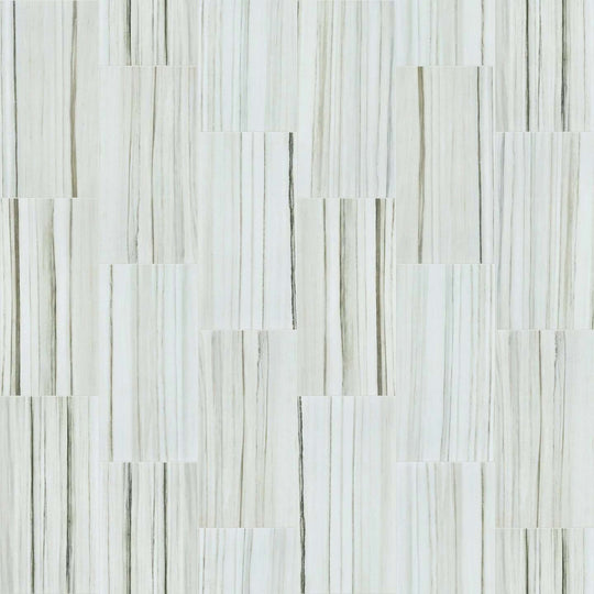 MARVEL 12X24 POLISH in Zebrino