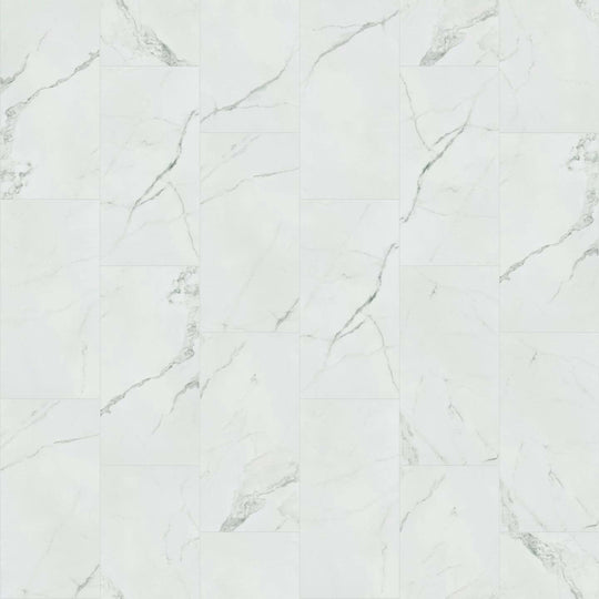 TB MARVEL MATTE12X24 in Statuario