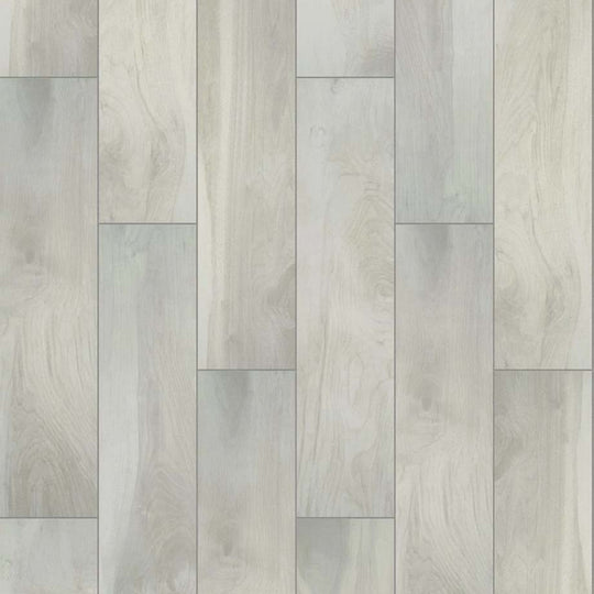 TB LEGACY 8X36 in Fine China