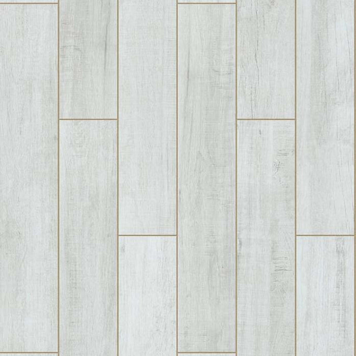 TUCSON 6X36 in Powder Tile