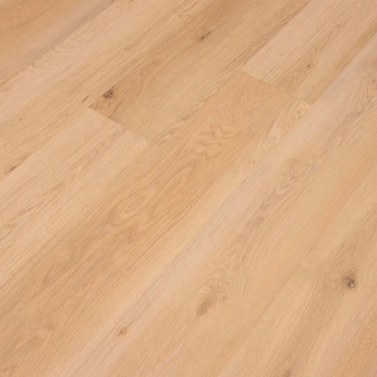 Mavericks in Tomales Twilight