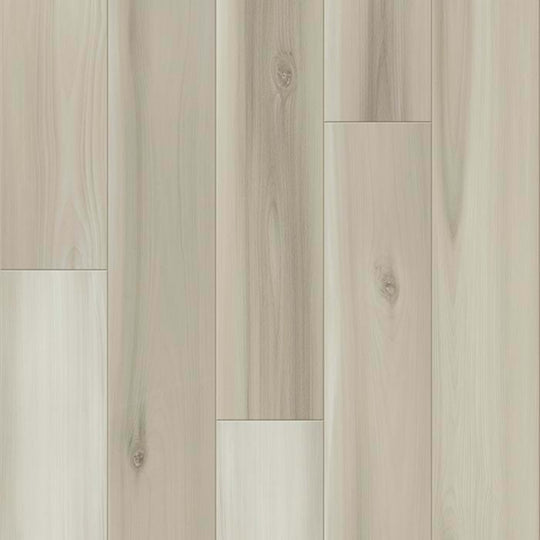 PROMINENCE PLUS in Dutch Oak