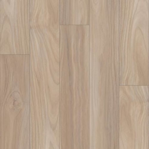 PROMINENCE PLUS in Terraced Acacia