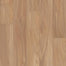 PROMINENCE PLUS in Natural Acacia Luxury Vinyl