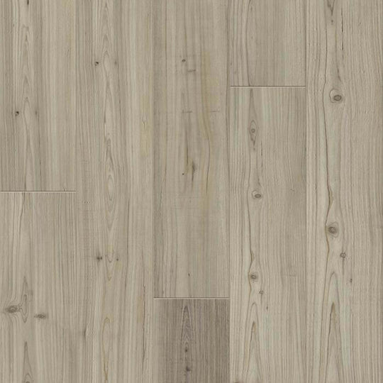 PROMINENCE PLUS in Light Pine