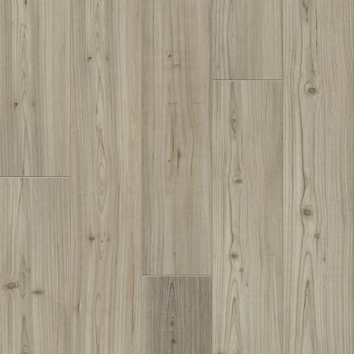 PROMINENCE PLUS in Light Pine