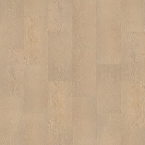 POLARIS PLUS in Oceanfront