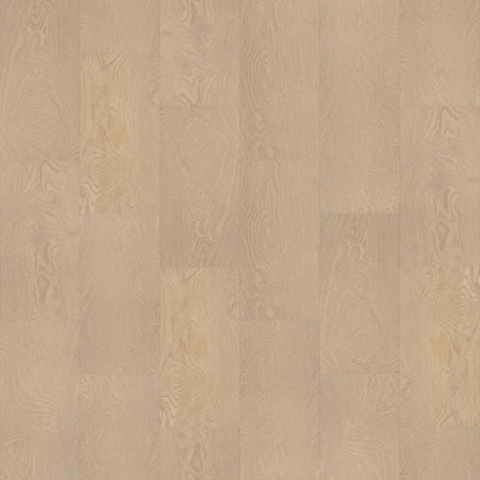 POLARIS PLUS in Oceanfront