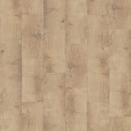 POLARIS PLUS in Marina