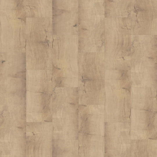 POLARIS PLUS in Marina