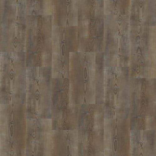 POLARIS PLUS in Ripped Pine