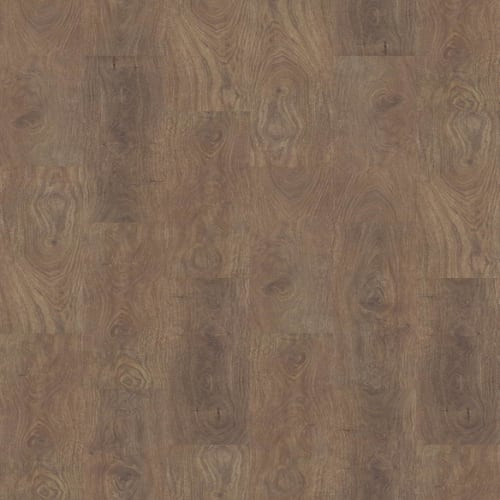 POLARIS PLUS in Boardwalk