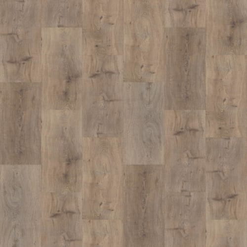 POLARIS PLUS in Wild Dunes