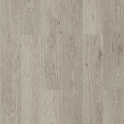 SURPASS PLANK in Guild